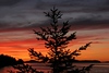 Leighs-Gallery > Salt Spring Island -- BC Canada photo